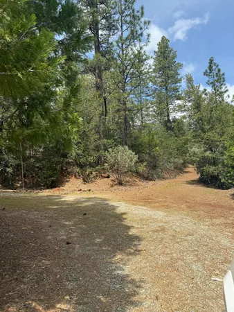 a view of a yard with a tree