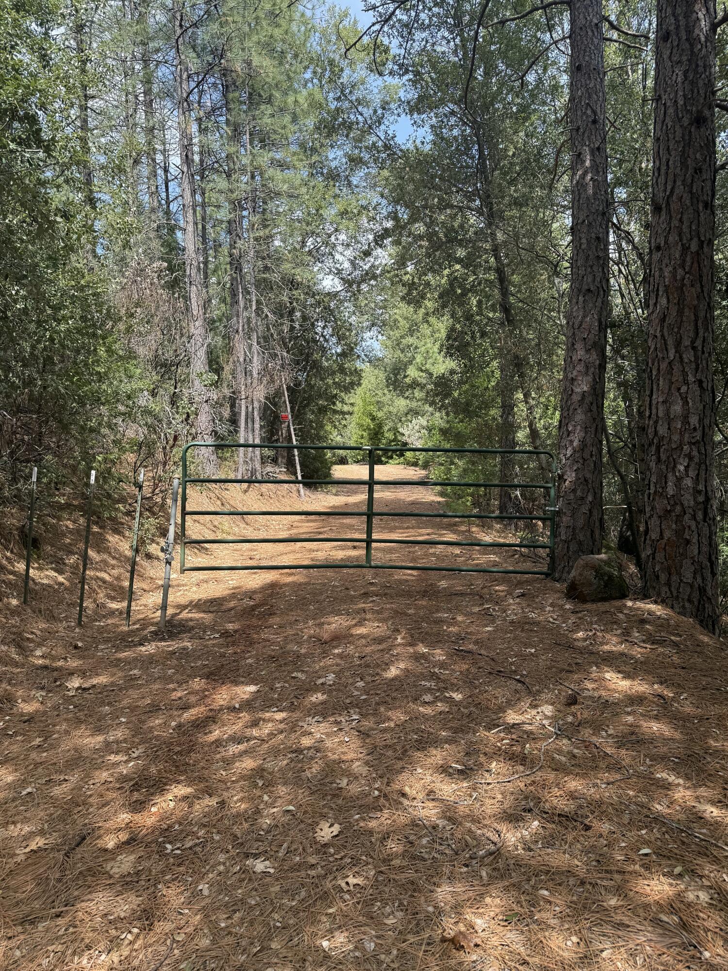 Ponderosa Way Shingletown, CA 96088 - Photo 4 of 12 a view of road with trees