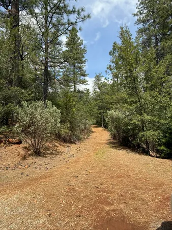 a view of a yard with trees