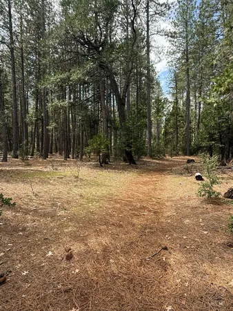 a view of outdoor space with trees