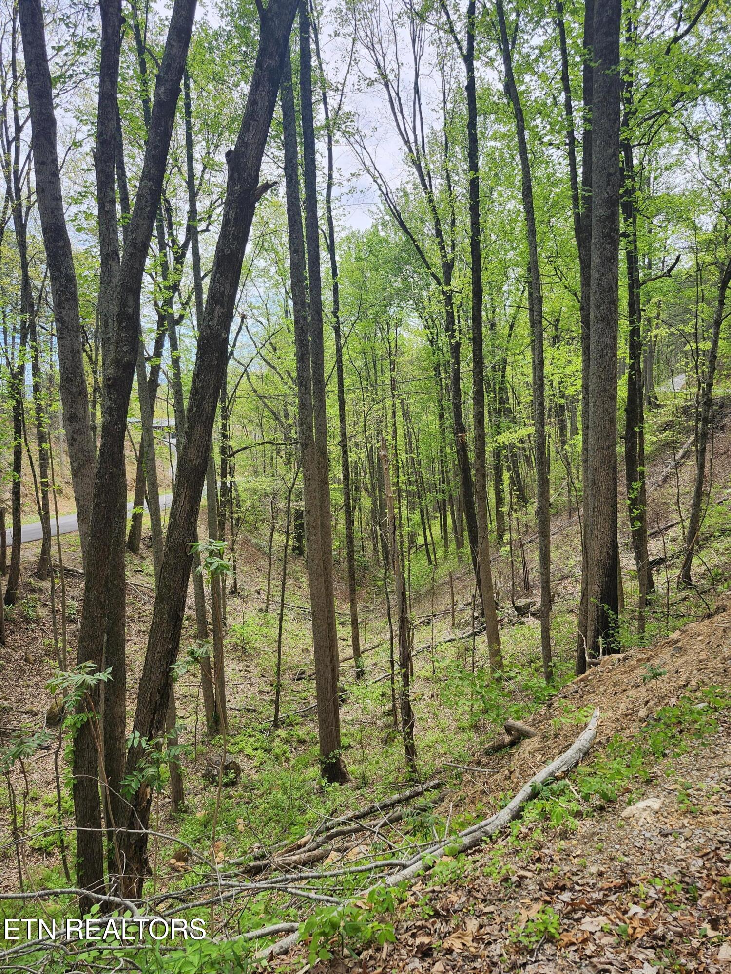 Lot 1 Hatcher Mtn Road Sevierville, TN 37862 - Photo 5 of 10 Image 05