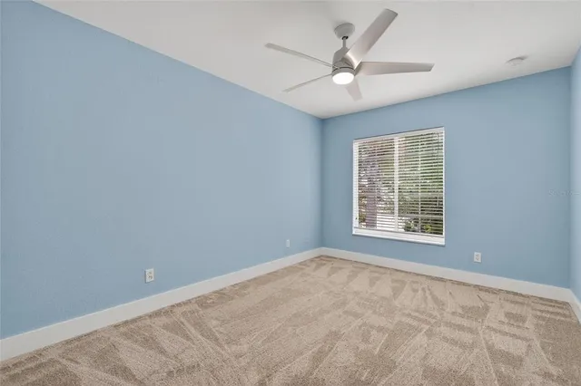 a childrens park with lots of trees and plants