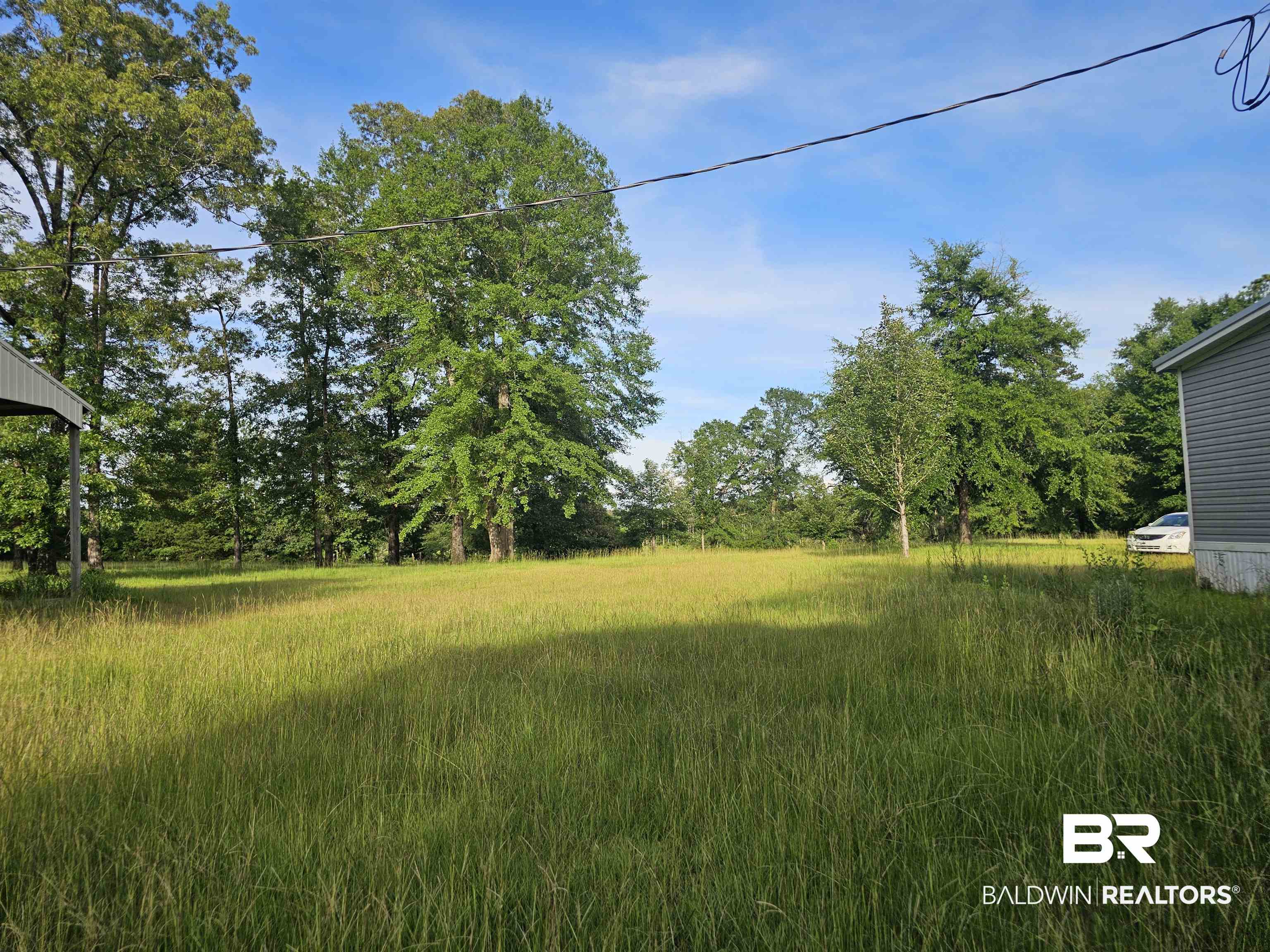 1863 Wait Road Monroeville, AL 36460 - Photo 26 of 38 View of yard