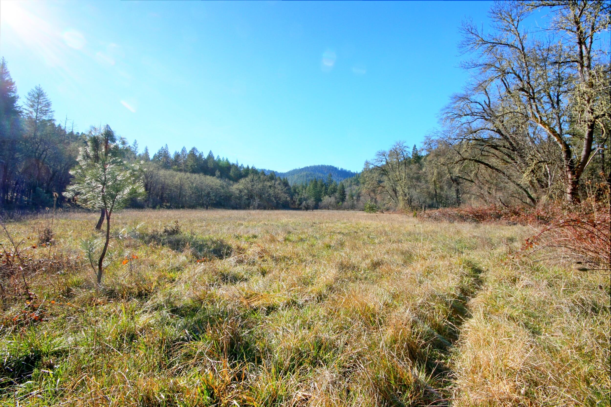 5000 Thompson Creek Road Jacksonville, OR 97530 - Photo 3 of 71 field