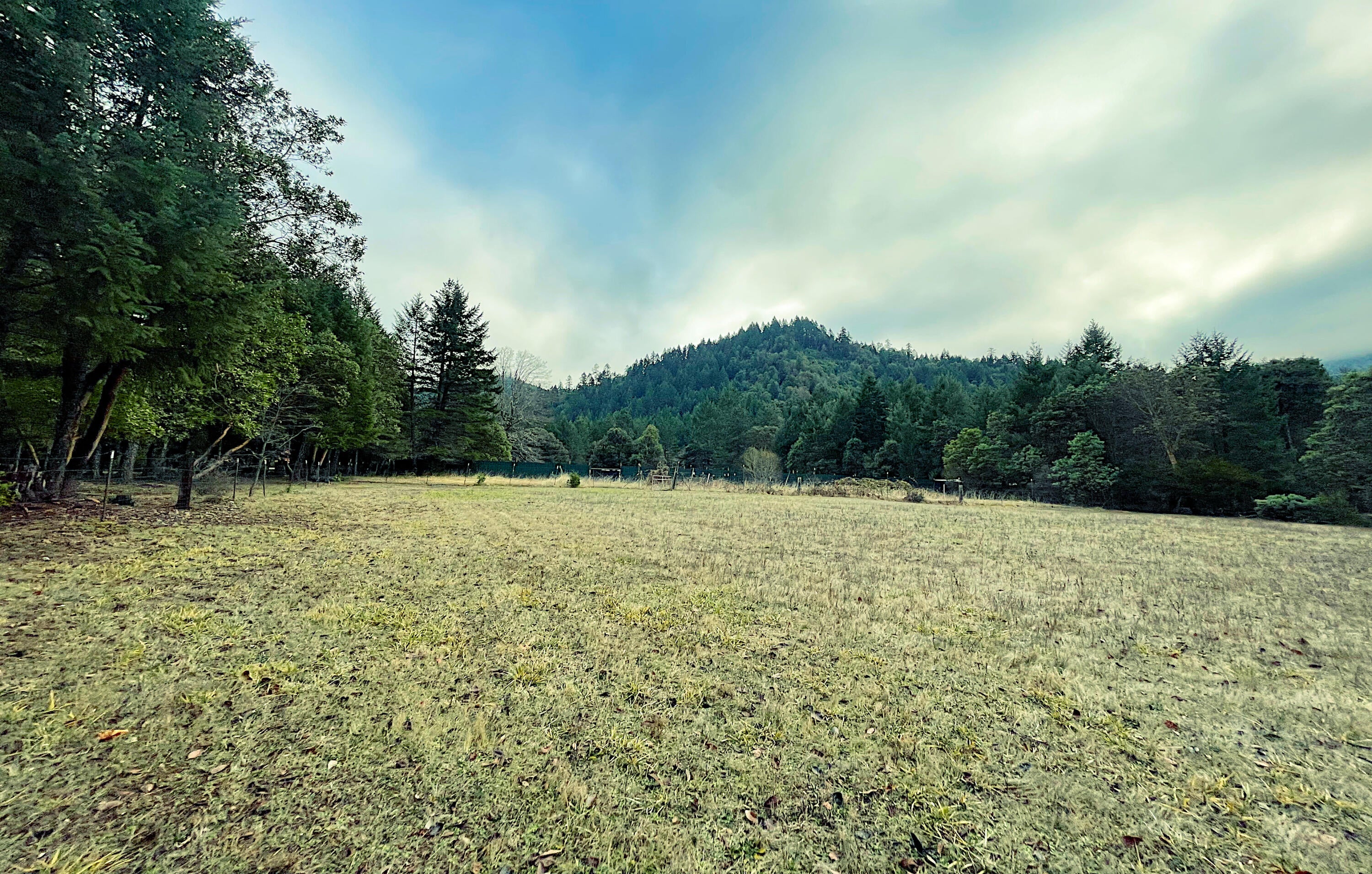 5130 Thompson Creek Road Selma, OR 97538 - Photo 21 of 22 Gallery Image 21