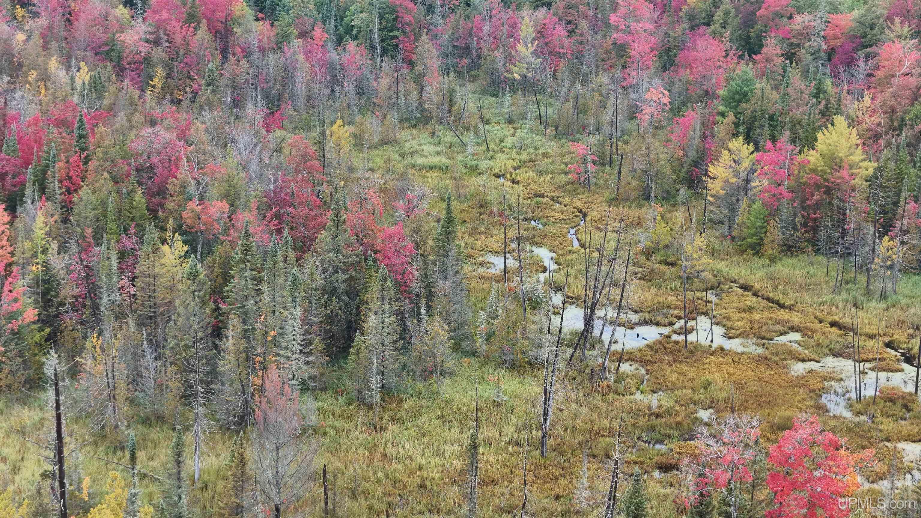Tbd240 South Firesteel Road Ontonagon, MI 49953 - Photo 10 of 16