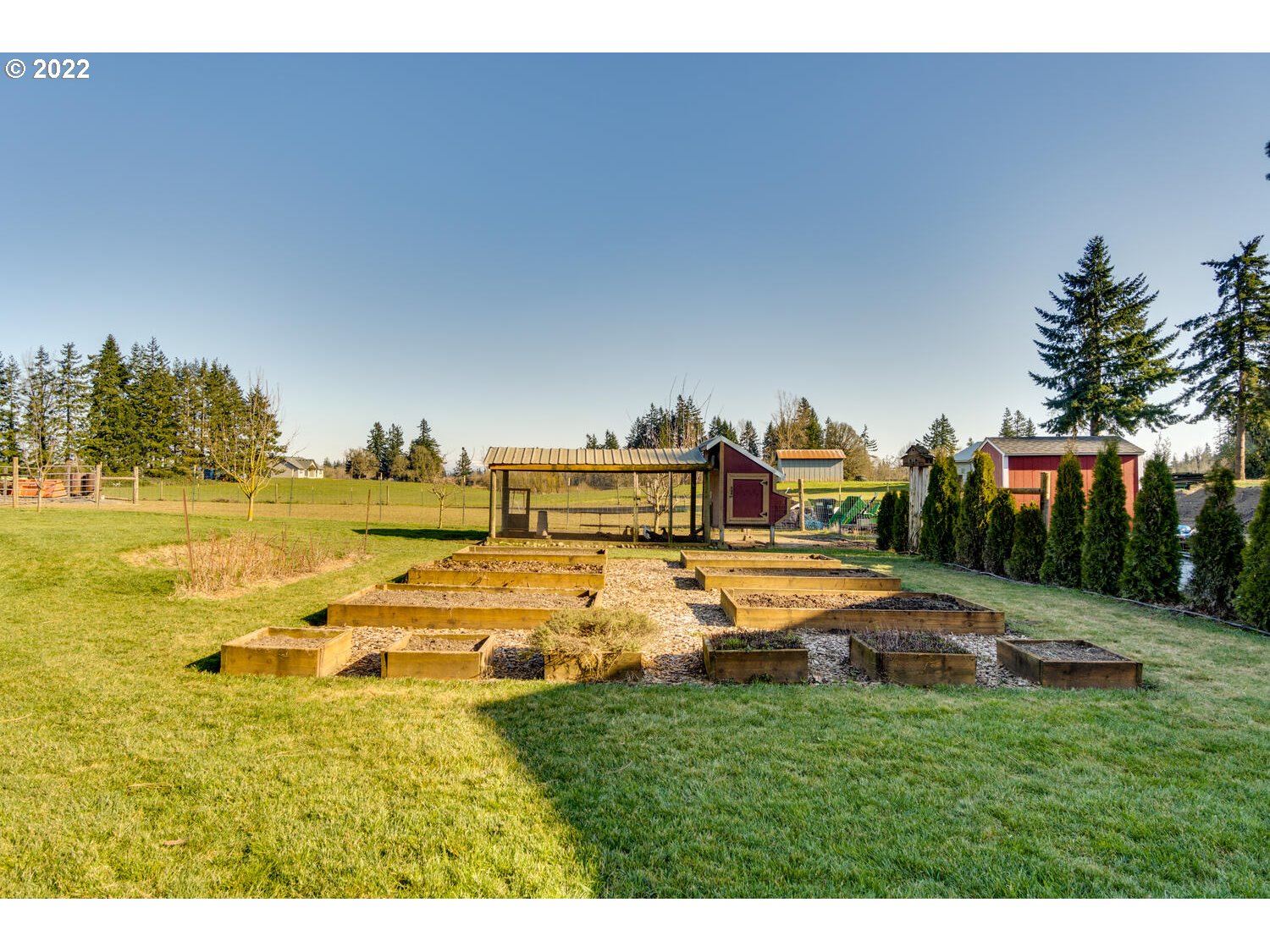 18876 Butteville Road Northeast Aurora, OR 97002 - Photo 20 of 32 a view of a yard with swimming pool and trees in the background