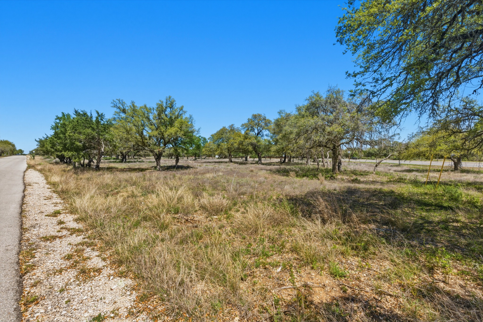 268 Kinnikinik Loop Austin, TX 78737 - Photo 20 of 32 a view of a yard with a tree