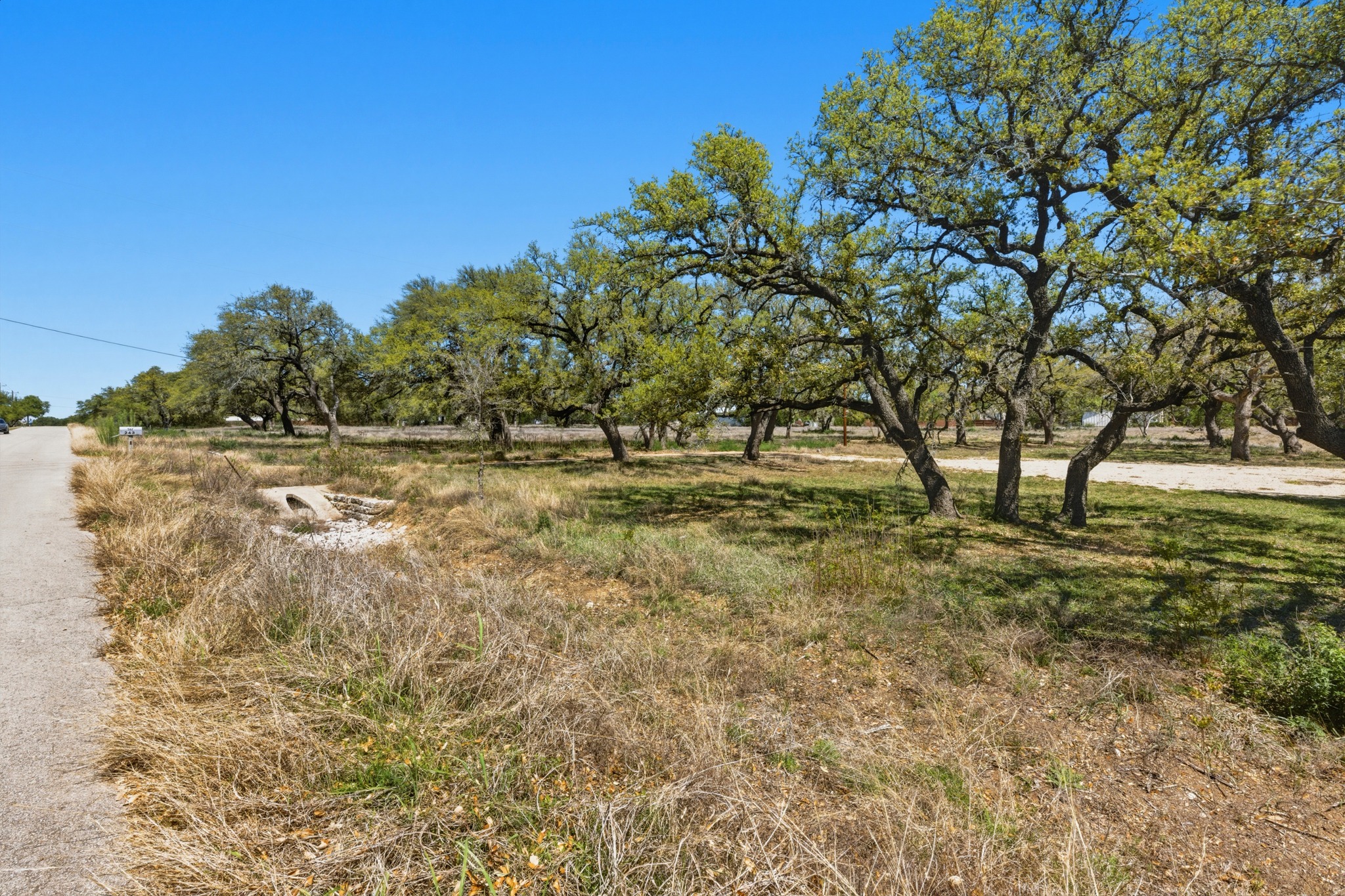 268 Kinnikinik Loop Austin, TX 78737 - Photo 21 of 32 a view of field with trees