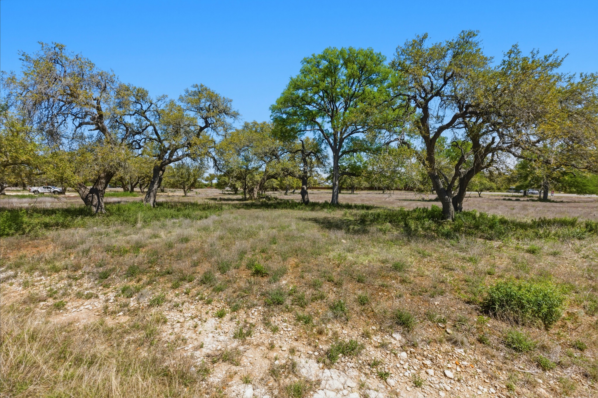 268 Kinnikinik Loop Austin, TX 78737 - Photo 22 of 32 a view of park