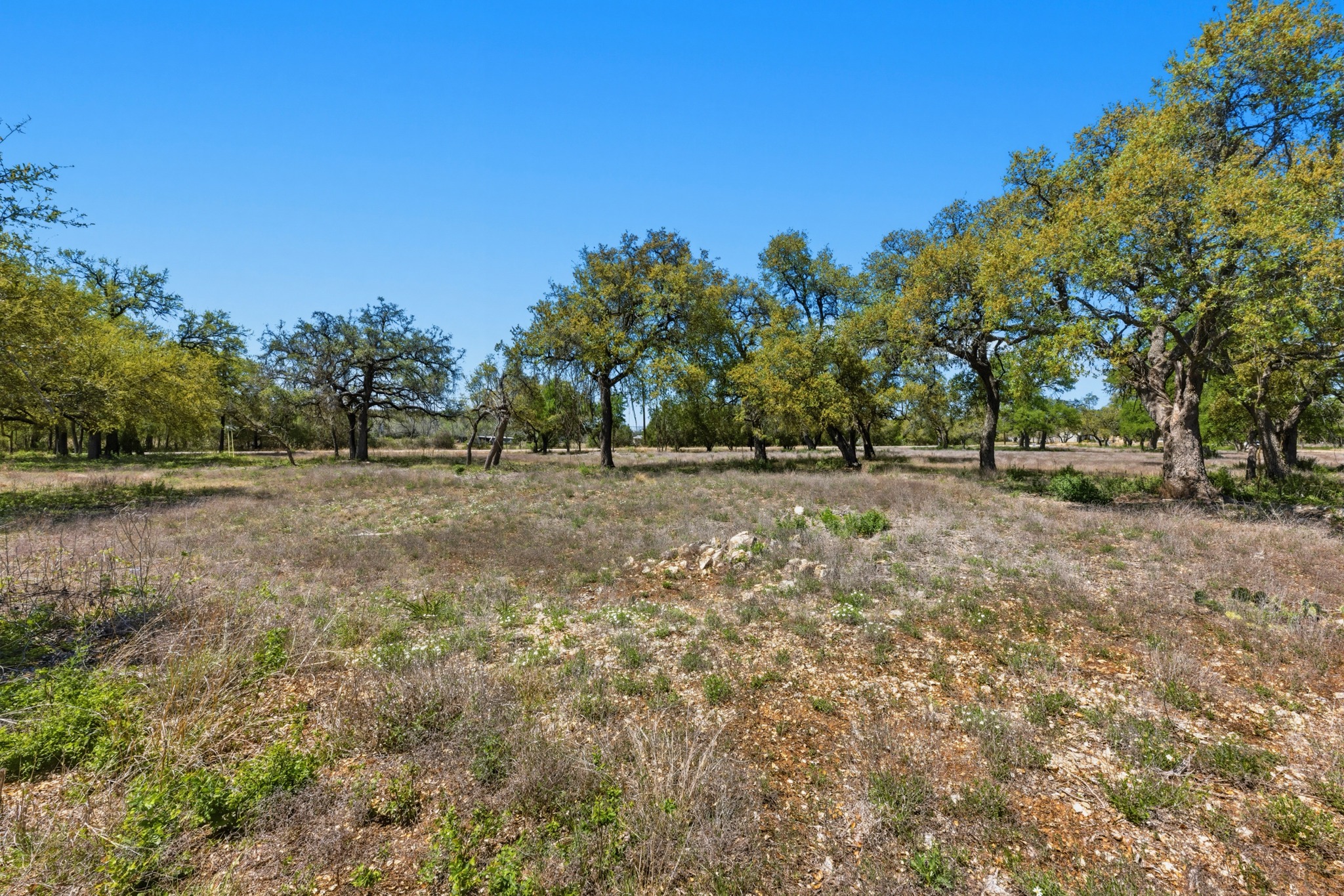 268 Kinnikinik Loop Austin, TX 78737 - Photo 23 of 32 a view of outdoor space with trees all around