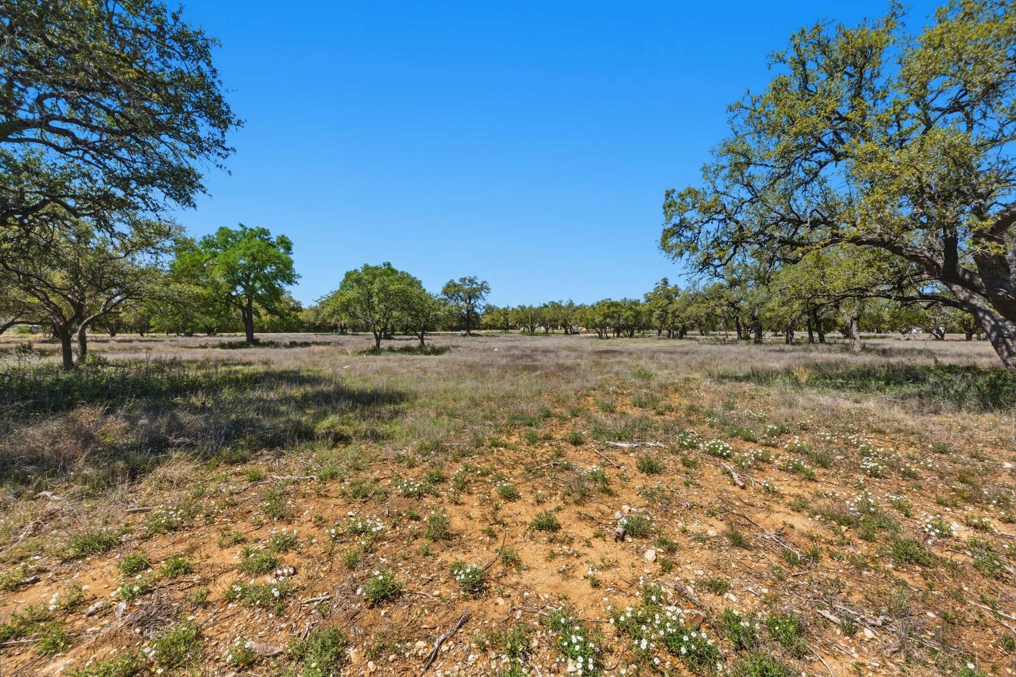 268 Kinnikinik Loop Austin, TX 78737 - Photo 25 of 32 a view of a field with trees in the background