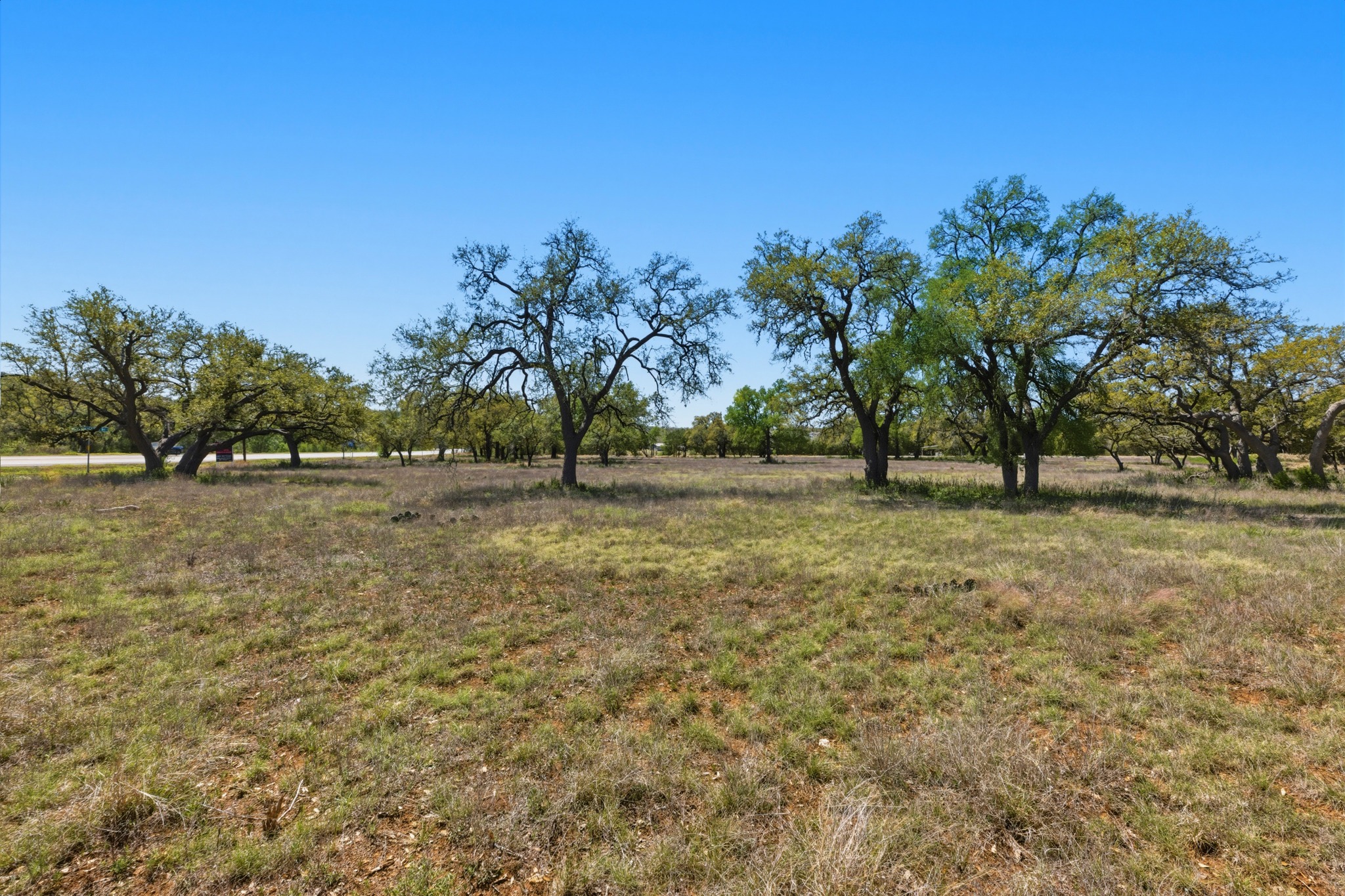 268 Kinnikinik Loop Austin, TX 78737 - Photo 26 of 32 a view of yard with trees