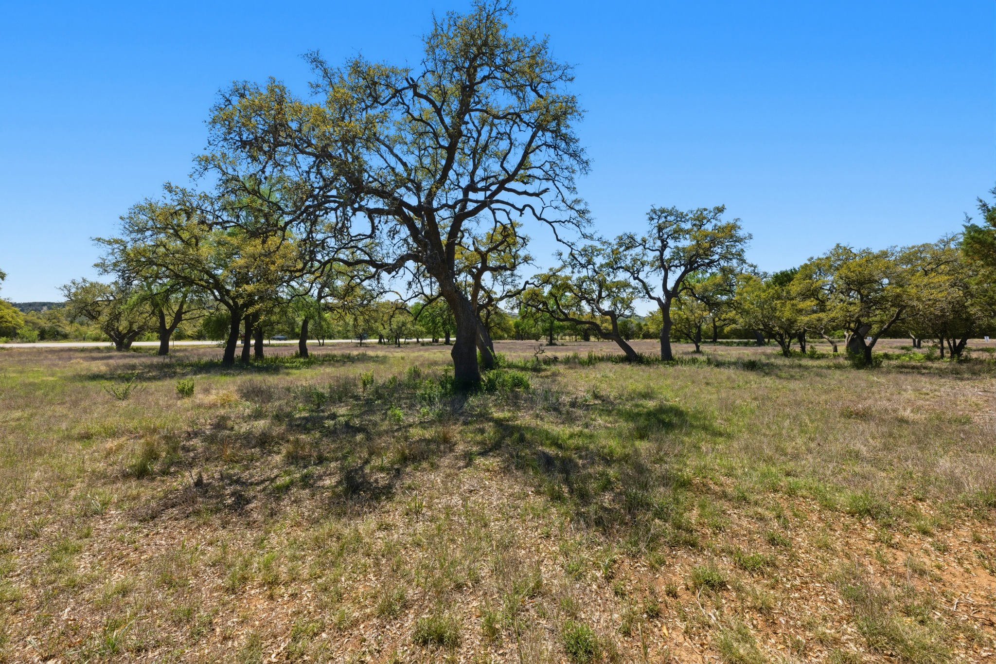 268 Kinnikinik Loop Austin, TX 78737 - Photo 28 of 32 a view of outdoor space with trees