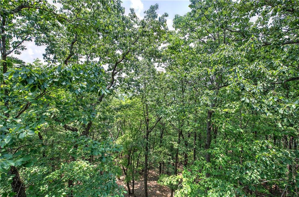 572 Cutthroat Ridge Road Jasper, GA 30143 - Photo 29 of 84