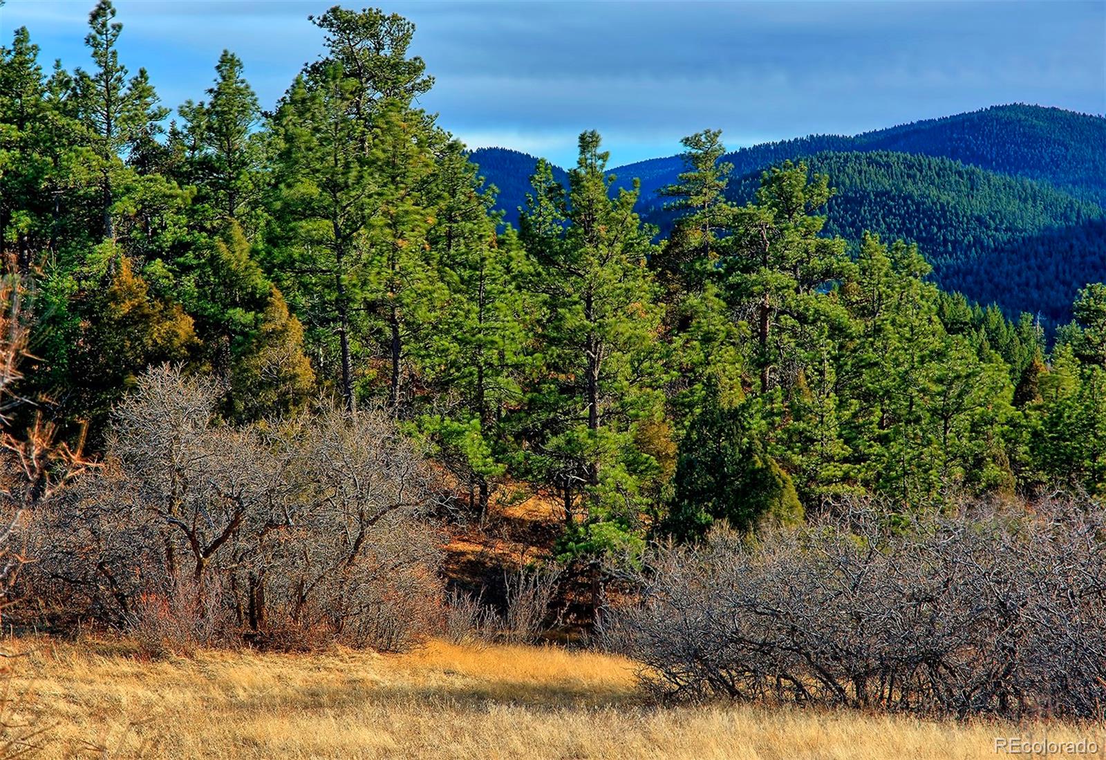 Jennings Road Morrison, CO 80465 - Photo 21 of 35 Gallery Image 21