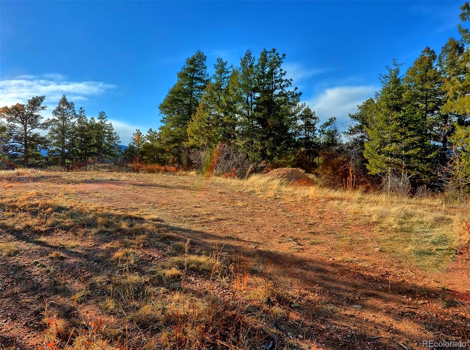 Jennings Road Morrison, CO 80465 - Photo 5 of 35 Gallery Image 5