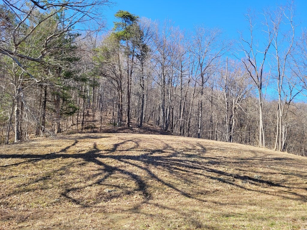 1445 Griffith Hill Road, Unit 780008501 Ferrum, VA 24088 - Photo 13 of 24 Gallery Image 13