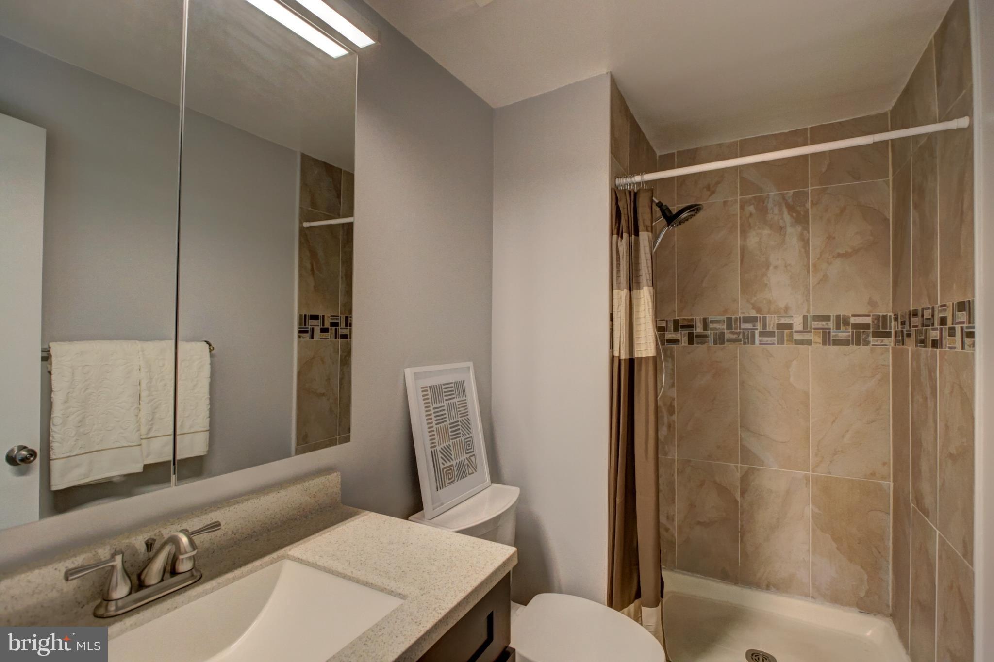 7068 Winter Rose Path Columbia, MD 21045 - Photo 16 of 30 a bathroom with a sink toilet and shower