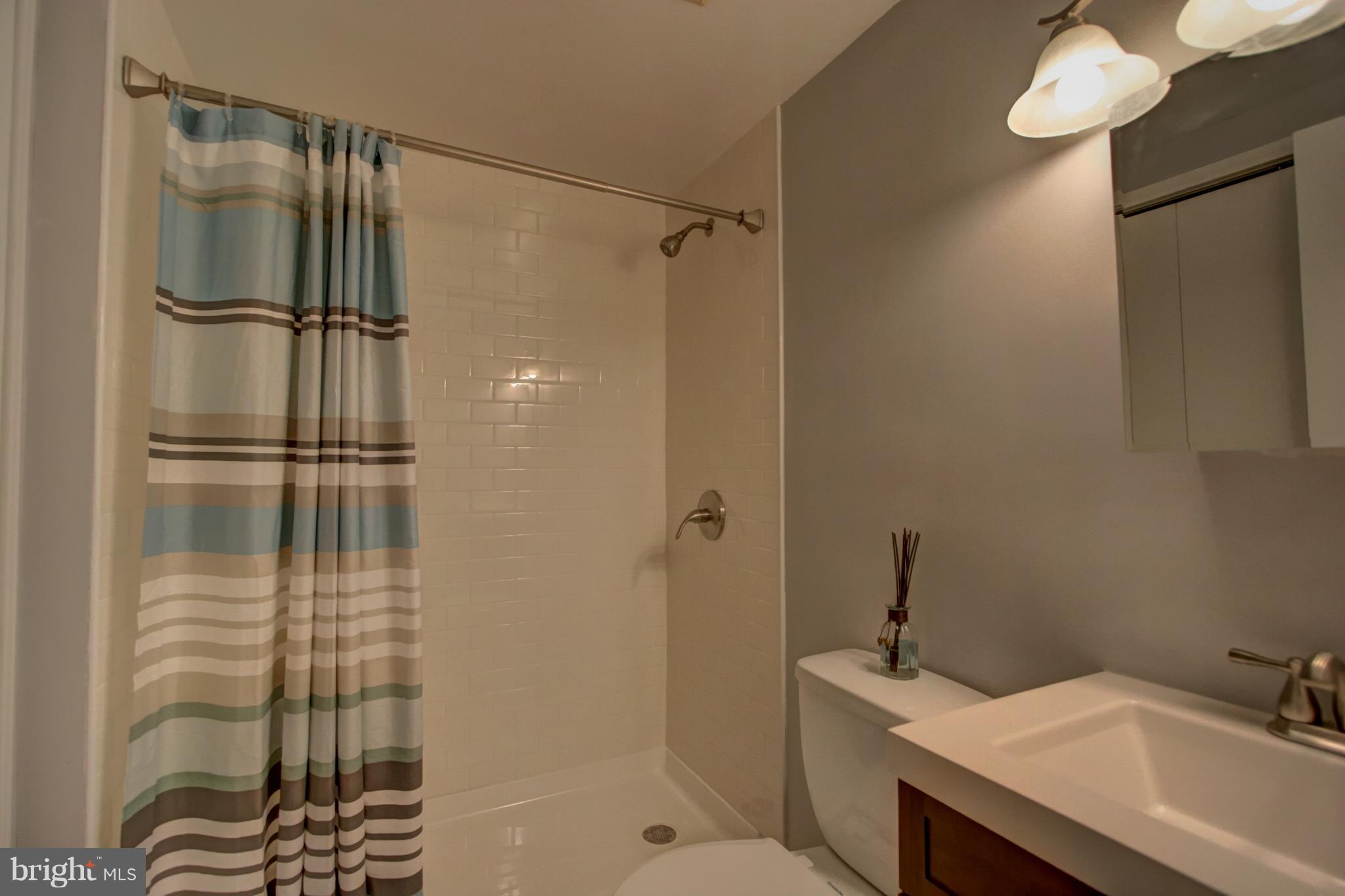 7068 Winter Rose Path Columbia, MD 21045 - Photo 21 of 30 a bathroom with a sink and a shower