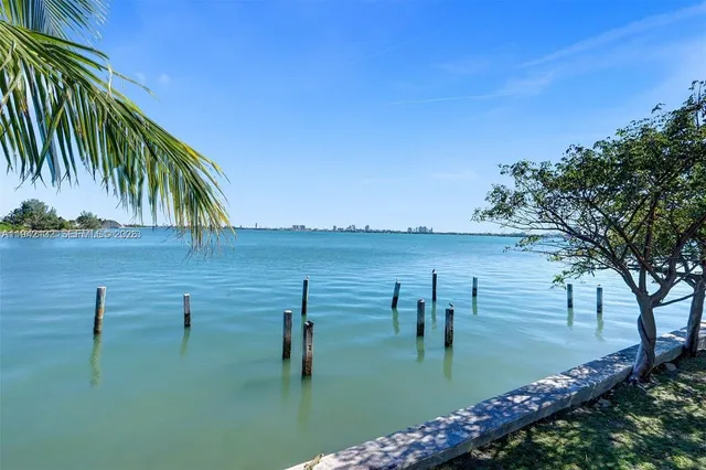 a view of a kitchen with a sink and dishwasher a barbeque with potted plants