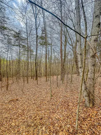 $100,000 | 0 Green Meadows, Dahlonega, GA 30533