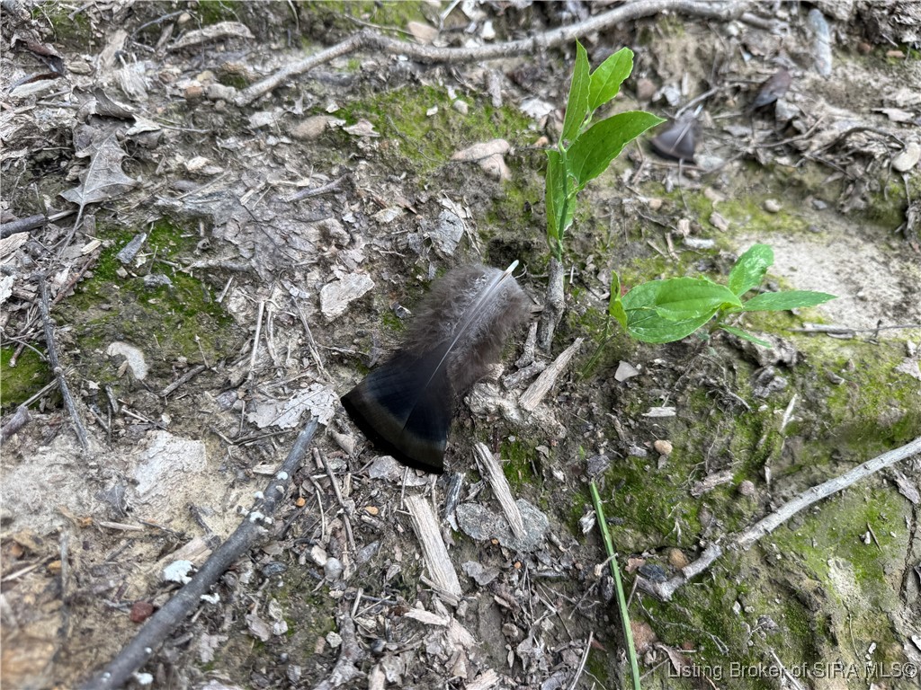 400 North Off Co Road Paoli, IN 47454 - Photo 12 of 33