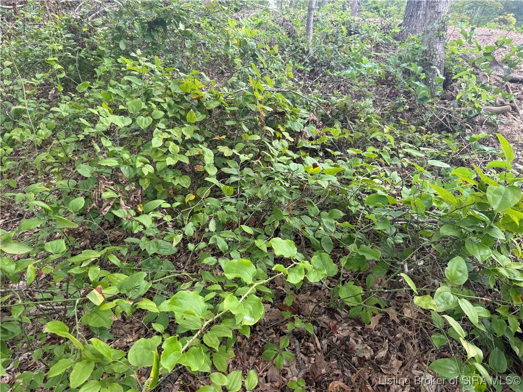 400 North Off Co Road Paoli, IN 47454 - Photo 18 of 33