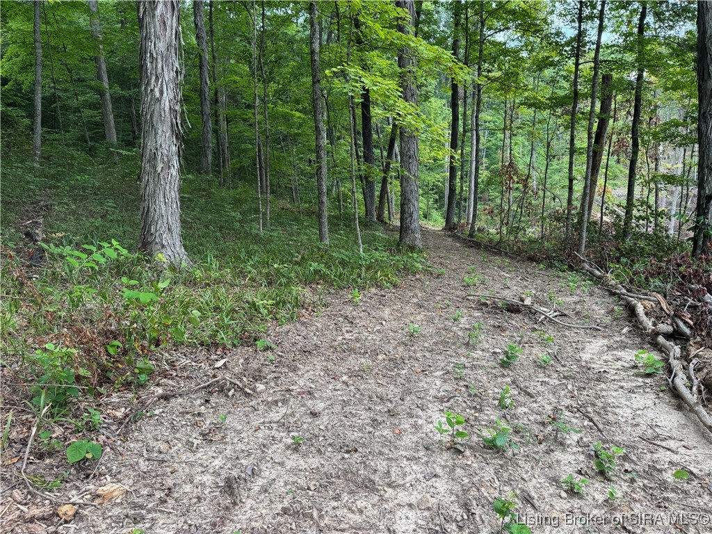 400 North Off Co Road Paoli, IN 47454 - Photo 20 of 33