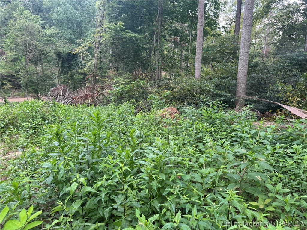 400 North Off Co Road Paoli, IN 47454 - Photo 23 of 33