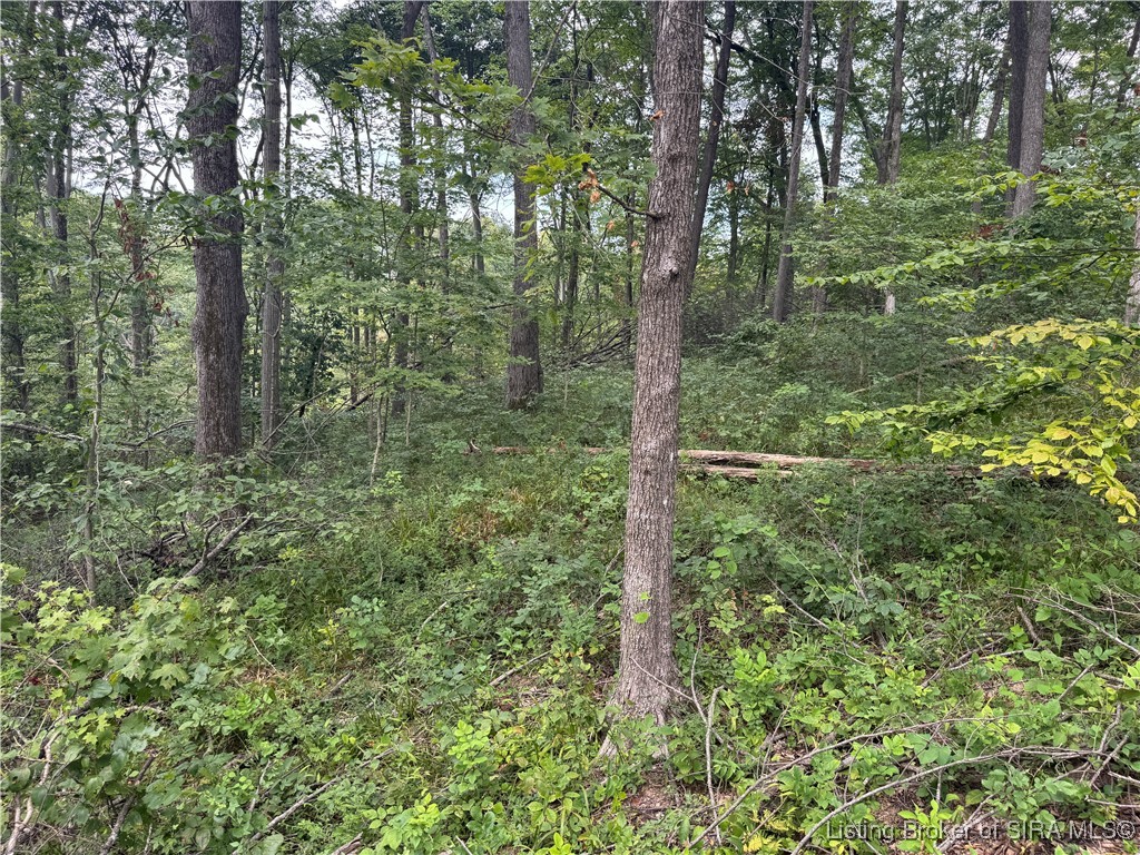 400 North Off Co Road Paoli, IN 47454 - Photo 26 of 33