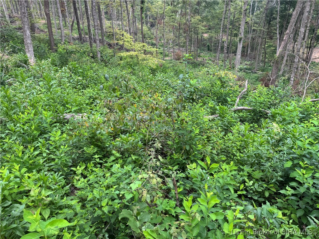 400 North Off Co Road Paoli, IN 47454 - Photo 5 of 33