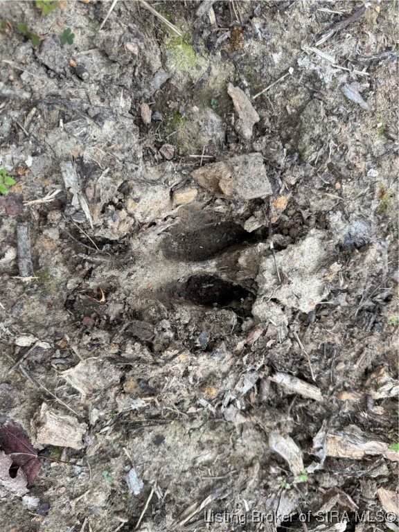 400 North Off Co Road Paoli, IN 47454 - Photo 10 of 33