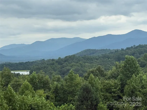 a view of a lush green valley