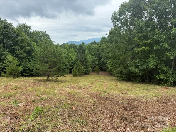a view of a yard with a tree