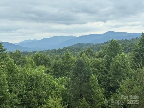 a view of a lush green valley