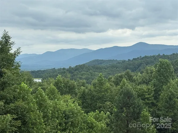 a view of outdoor space with trees all around