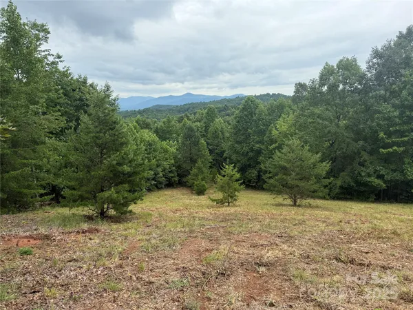 a view of outdoor space with green field and trees all around