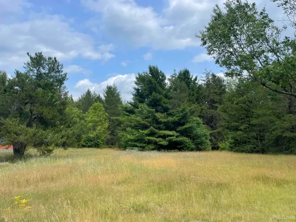 $19,900 | Tbd South Tbd S Us41 Highway, Skandia, MI 49885