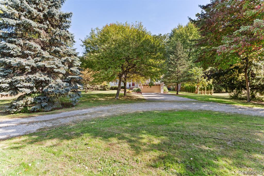 13623 Pardee Road Taylor, MI 48180 - Photo 13 of 54 Gallery Image 13