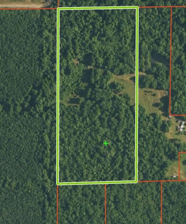 0 Clement Road Benton, LA 71006 - Photo 1 of 2 a view of a forest from a window