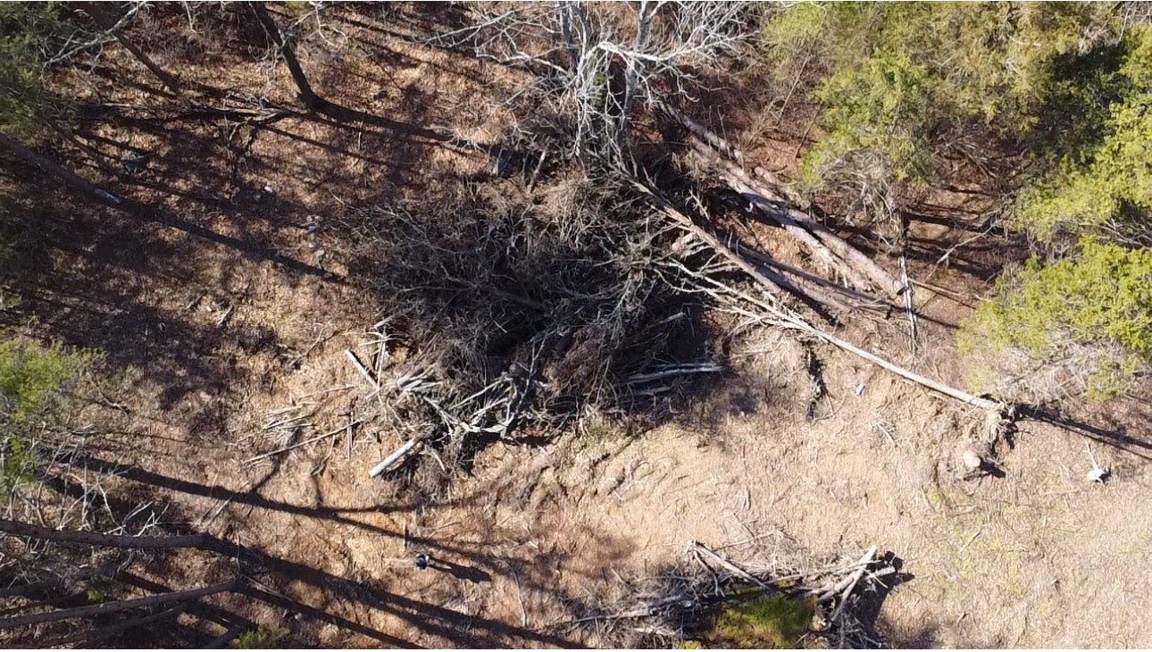 146 Till Road Hohenwald, TN 38462 - Photo 15 of 23 a backyard of a house with lots of trees