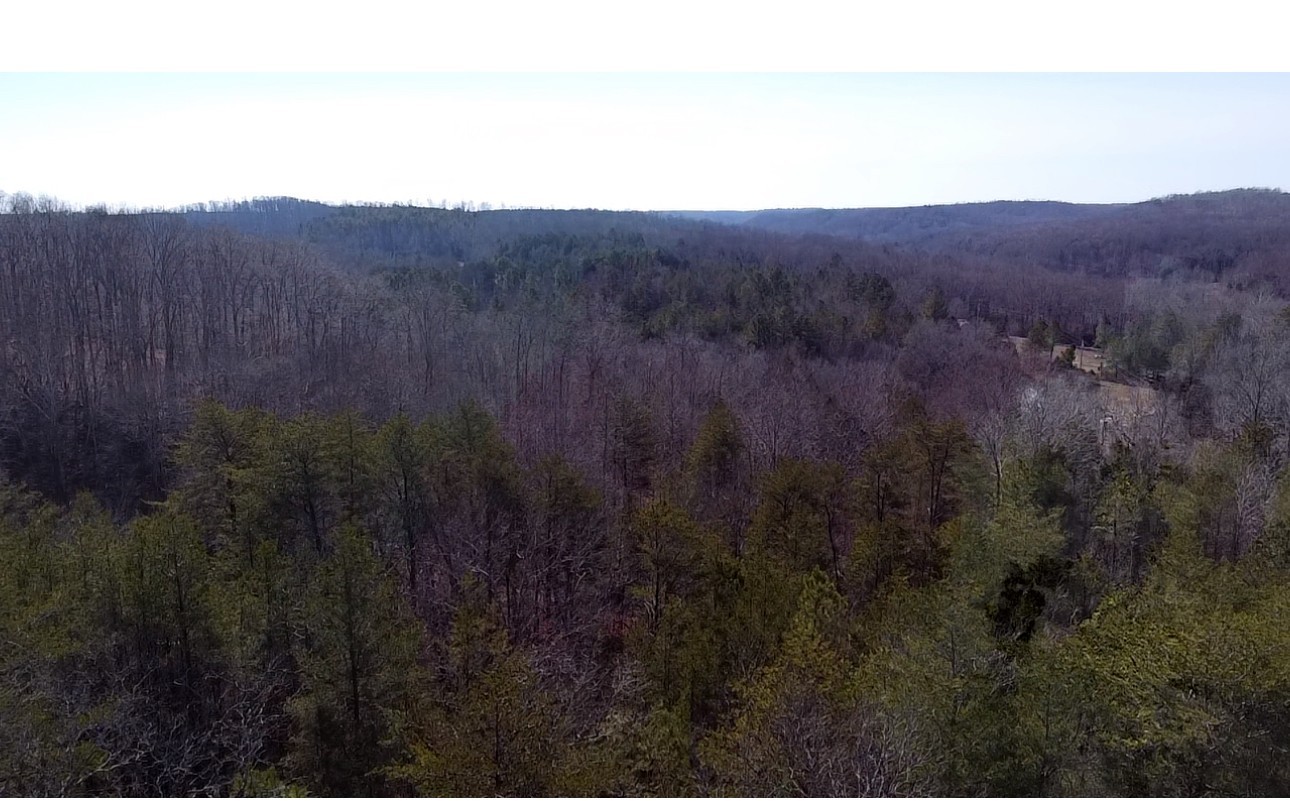 146 Till Road Hohenwald, TN 38462 - Photo 16 of 23 a view of a dry top in a field