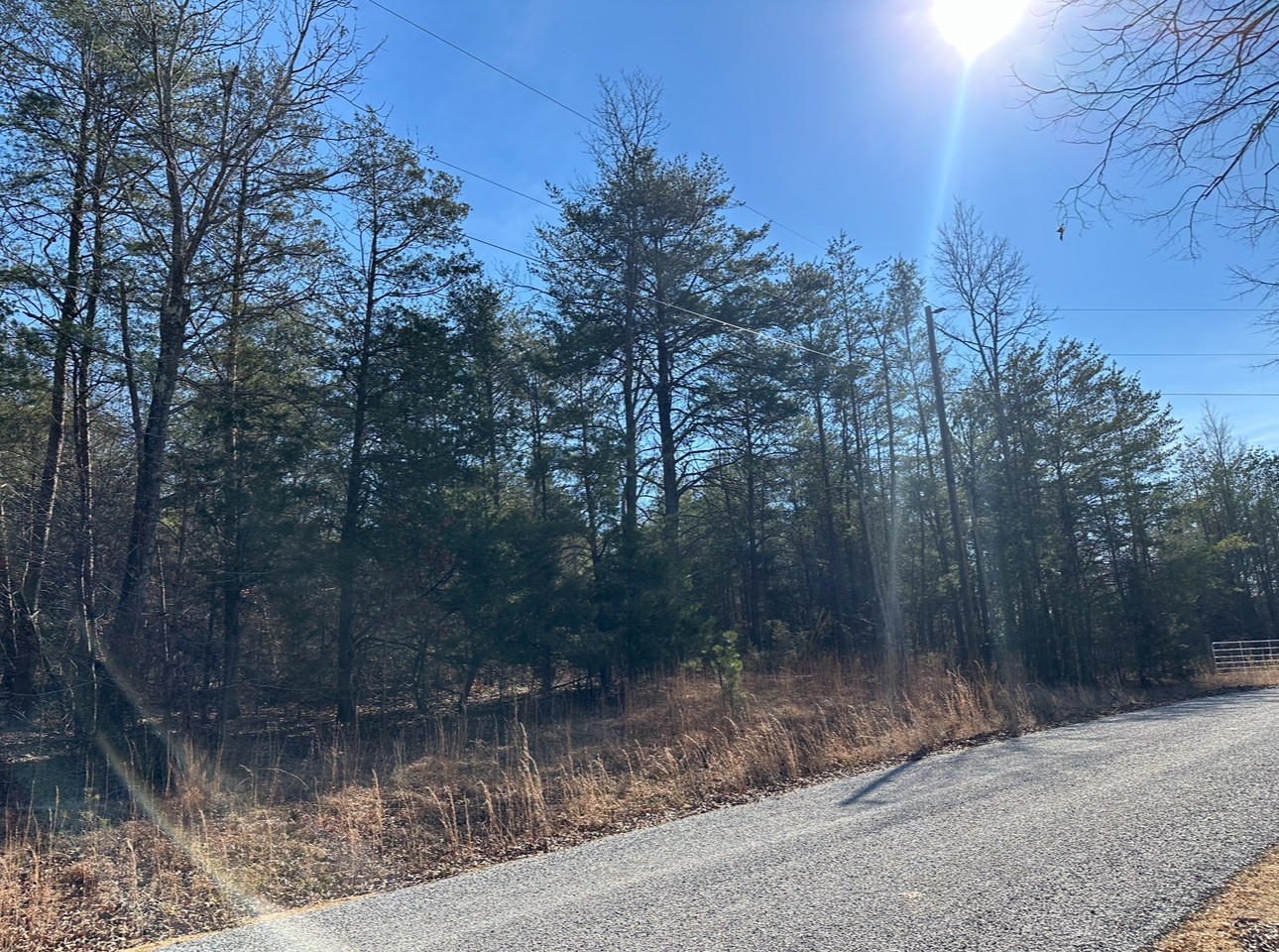 146 Till Road Hohenwald, TN 38462 - Photo 18 of 23 a view of a forest