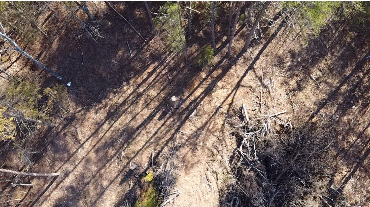 146 Till Road Hohenwald, TN 38462 - Photo 4 of 23 a backyard of a house