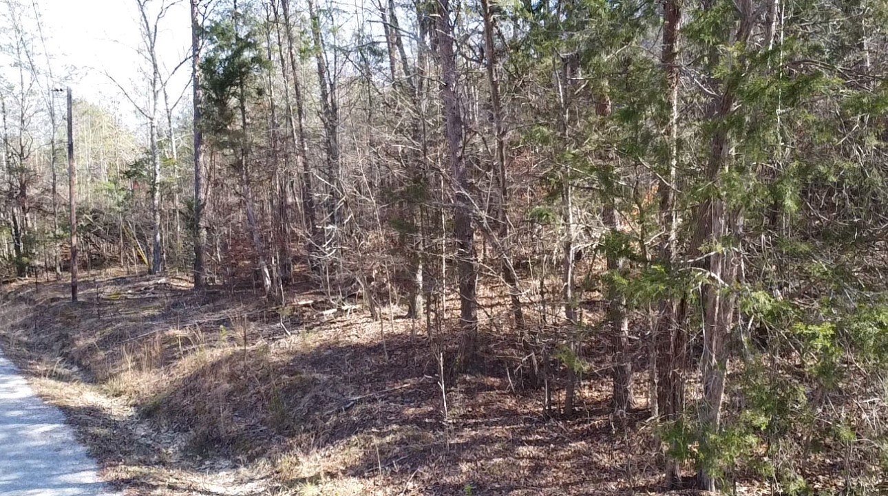 146 Till Road Hohenwald, TN 38462 - Photo 8 of 23 a backyard of a house with lots of green space