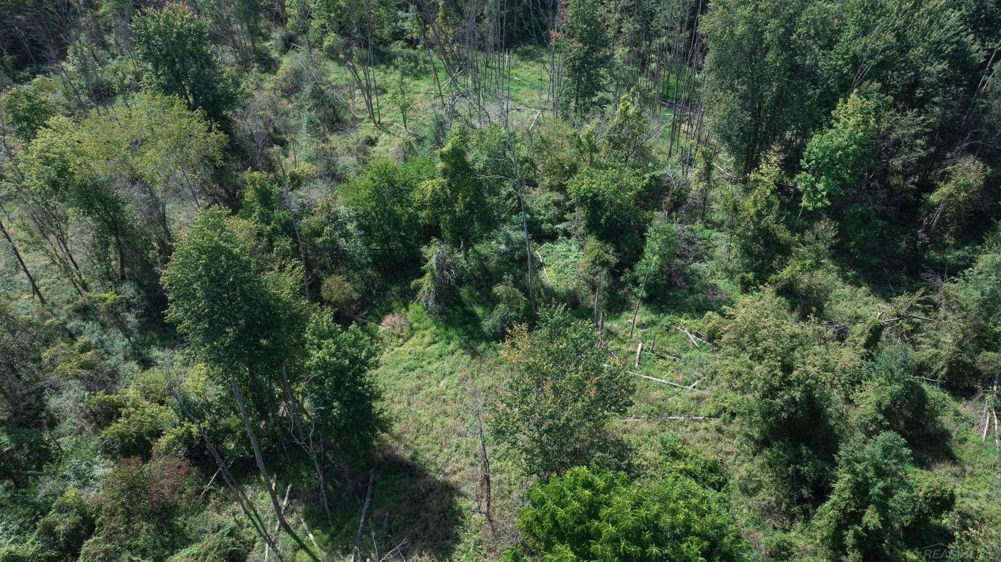 0 Canboro Road Owendale, MI 48754 - Photo 4 of 4