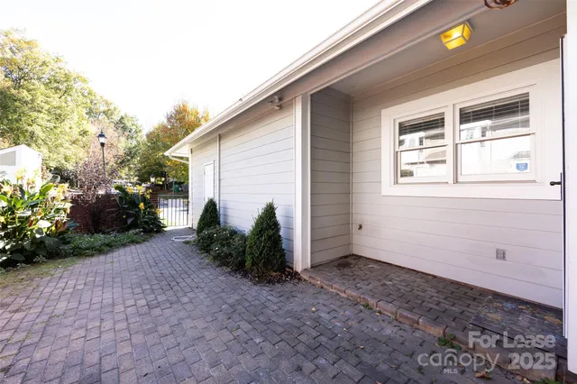 a view of a backyard with plants and large tree
