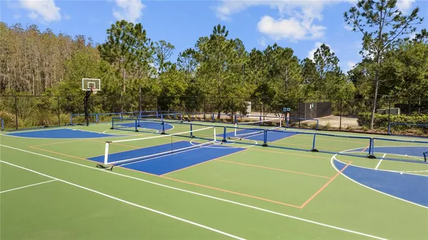 $7,000 | 28336 Picana Lane, Wesley Chapel, FL 33543