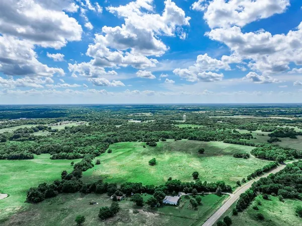 a view of a green field with lots of plants and trees